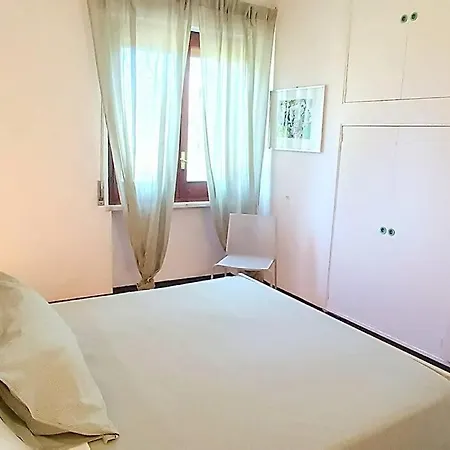 L'ibiscus Brucoli
