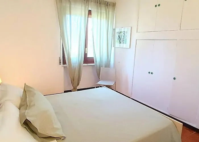 L'ibiscus Brucoli