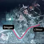 L'ibiscus * Brucoli