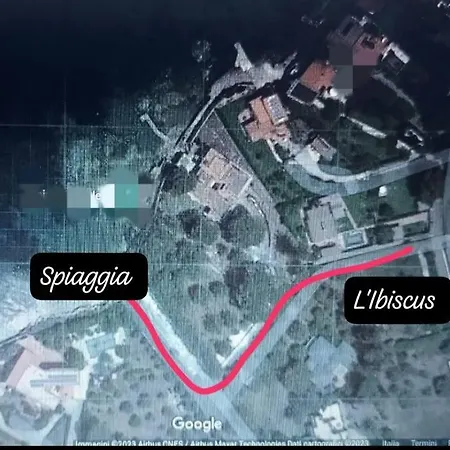 L'ibiscus * ブルコリ